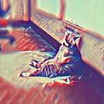 my profile
